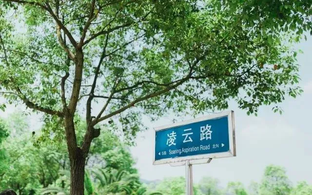 篮球教练队长训练计划书范文怎么写_2